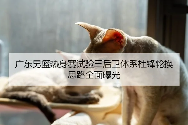 广东男篮热身赛试验三后卫体系杜锋轮换思路全面曝光